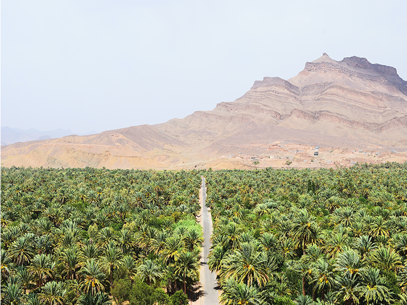 Viaje 8 dias desde Marrakech al desierto Merzouga y Zagora