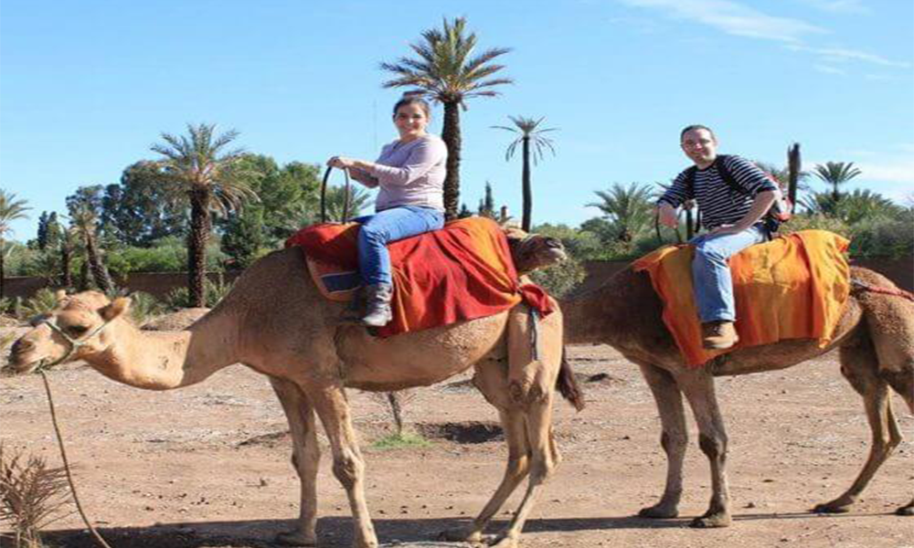 Montar en Camello en Palmeras de Marrakech